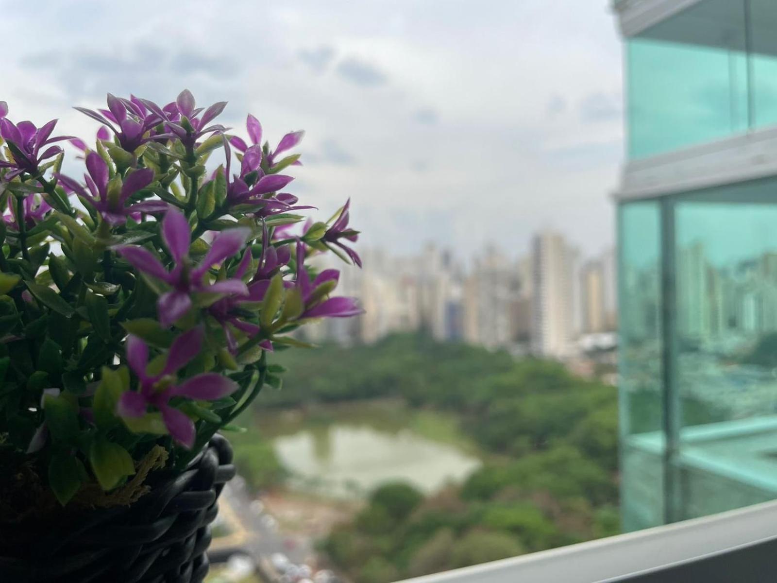 Spa Loft - Belissima Vista Vaca Brava Гояния Екстериор снимка